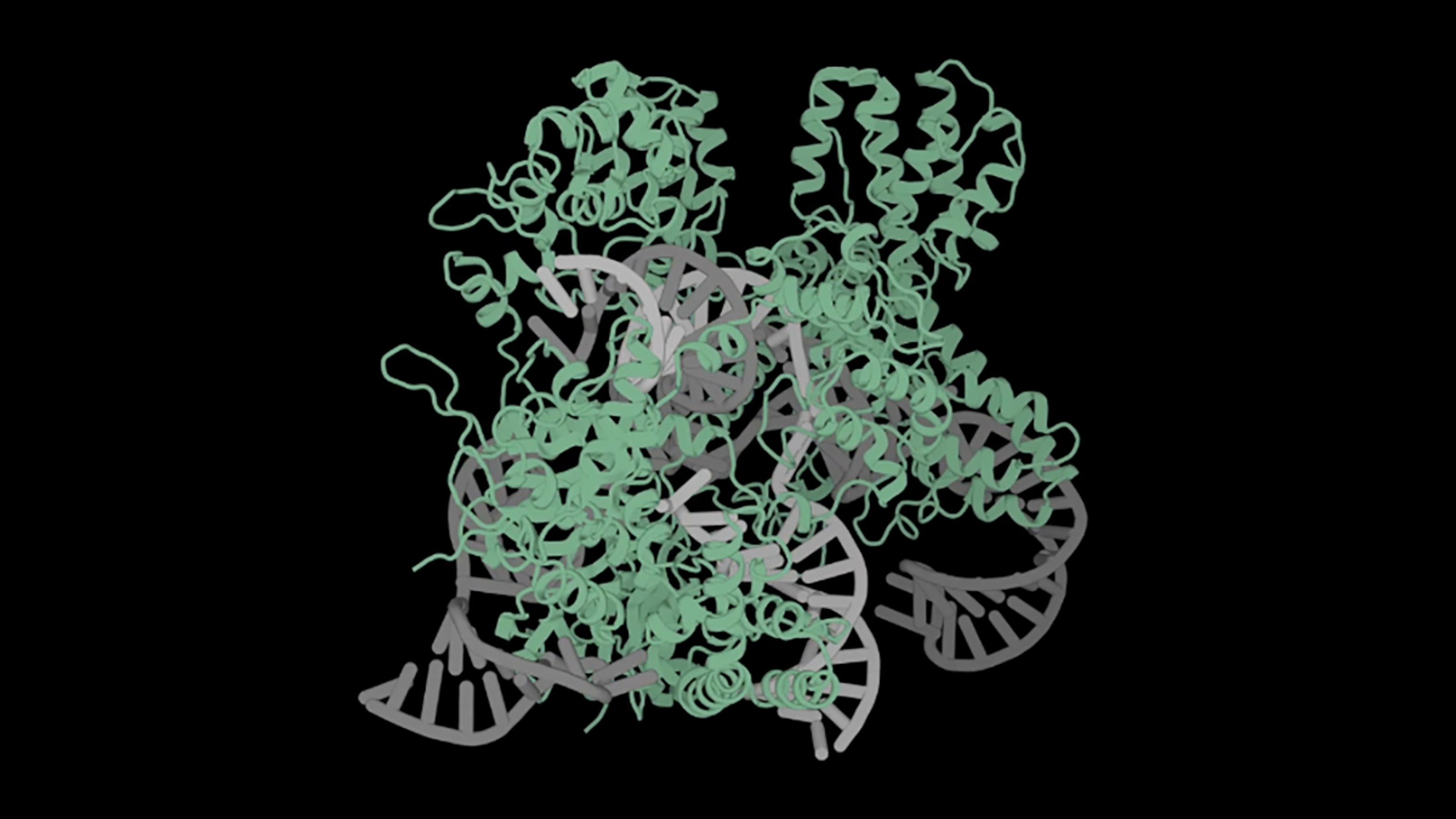 A 3D molecular model showing a complex structure of intertwined green proteins and grey DNA strands on a black background.